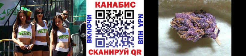 Где купить Кологрив Бошки Шишки  COCAIN  Alpha-PVP  МЕФ  ГАШ 