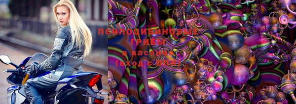 прущий лед Алексин