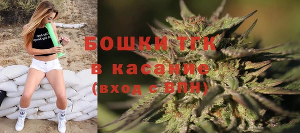 прущая мука Арсеньев